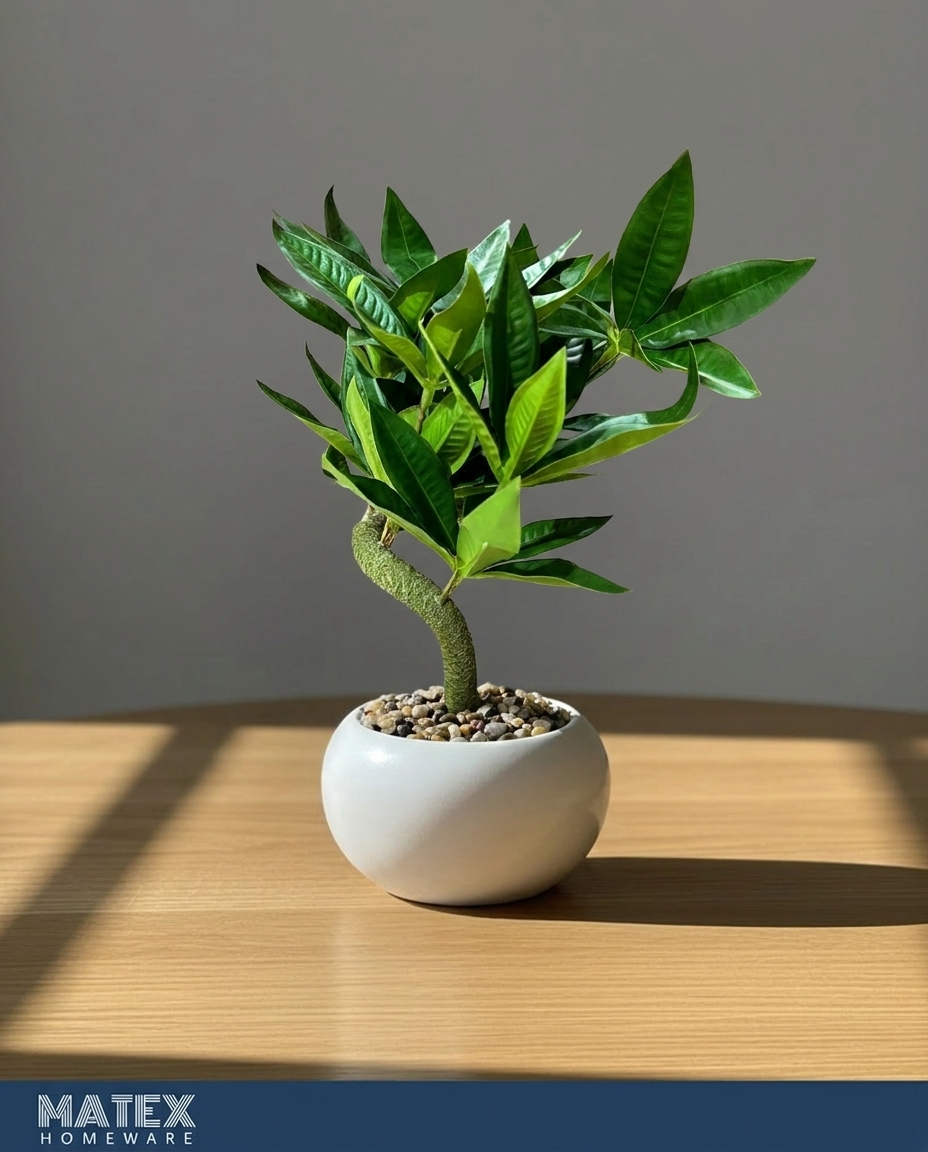 Verdelle Mini Plant Pot