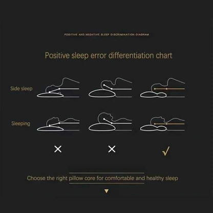 SleepCurve Pillow
