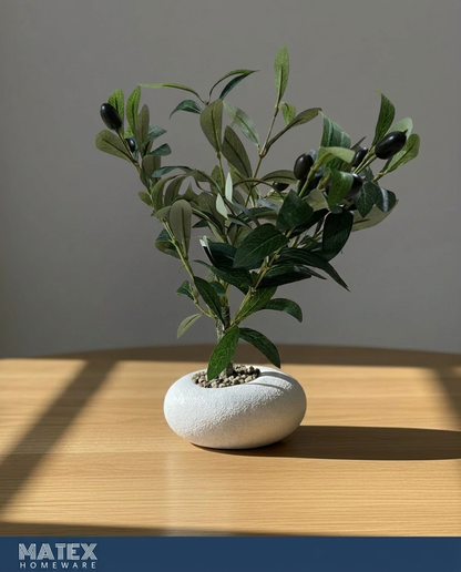 Olivea Mini Plant Pot