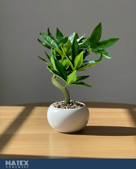 Verdelle Mini Plant Pot