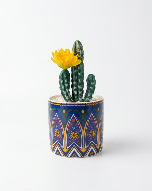 Golden Bloom Cactus Pot