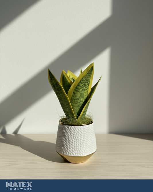SVARTEN Light leaf plant Pot