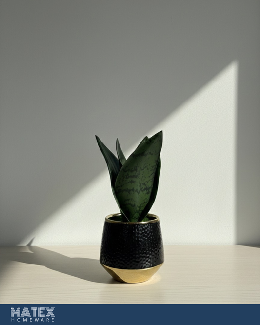 SVARTEN Dark leaf plant Pot