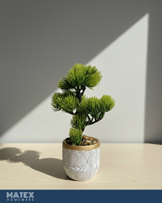 ZENKO Bonsai-style mini tree Pot