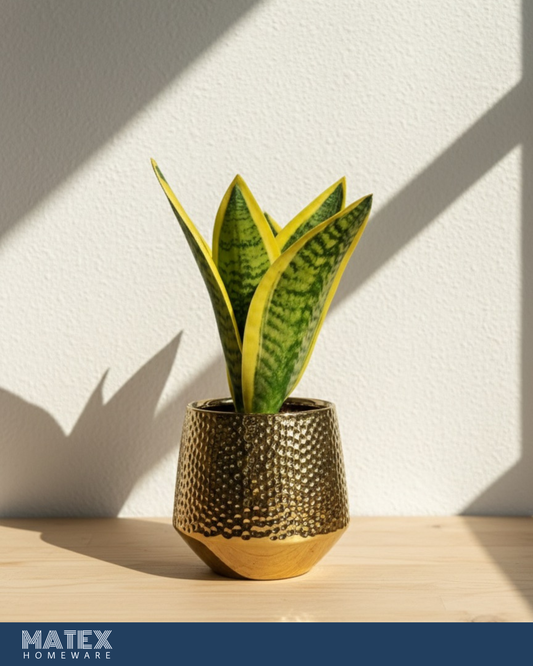 SVARTEN Gold leaf plant Pot
