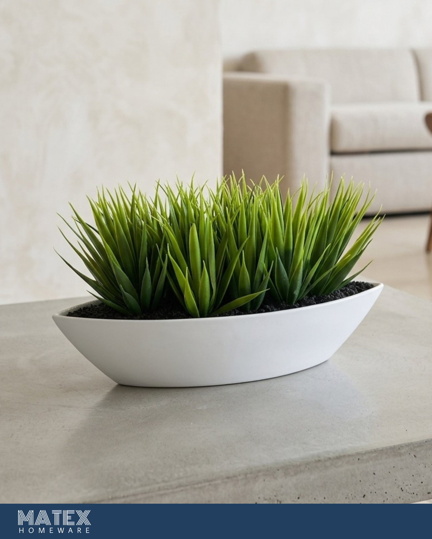 Green Cactus plant Boat Pot