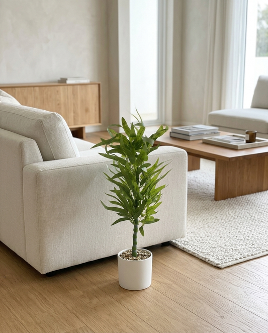 Verdelle Long Plant Pot in a living room